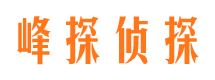 徐闻市私家侦探